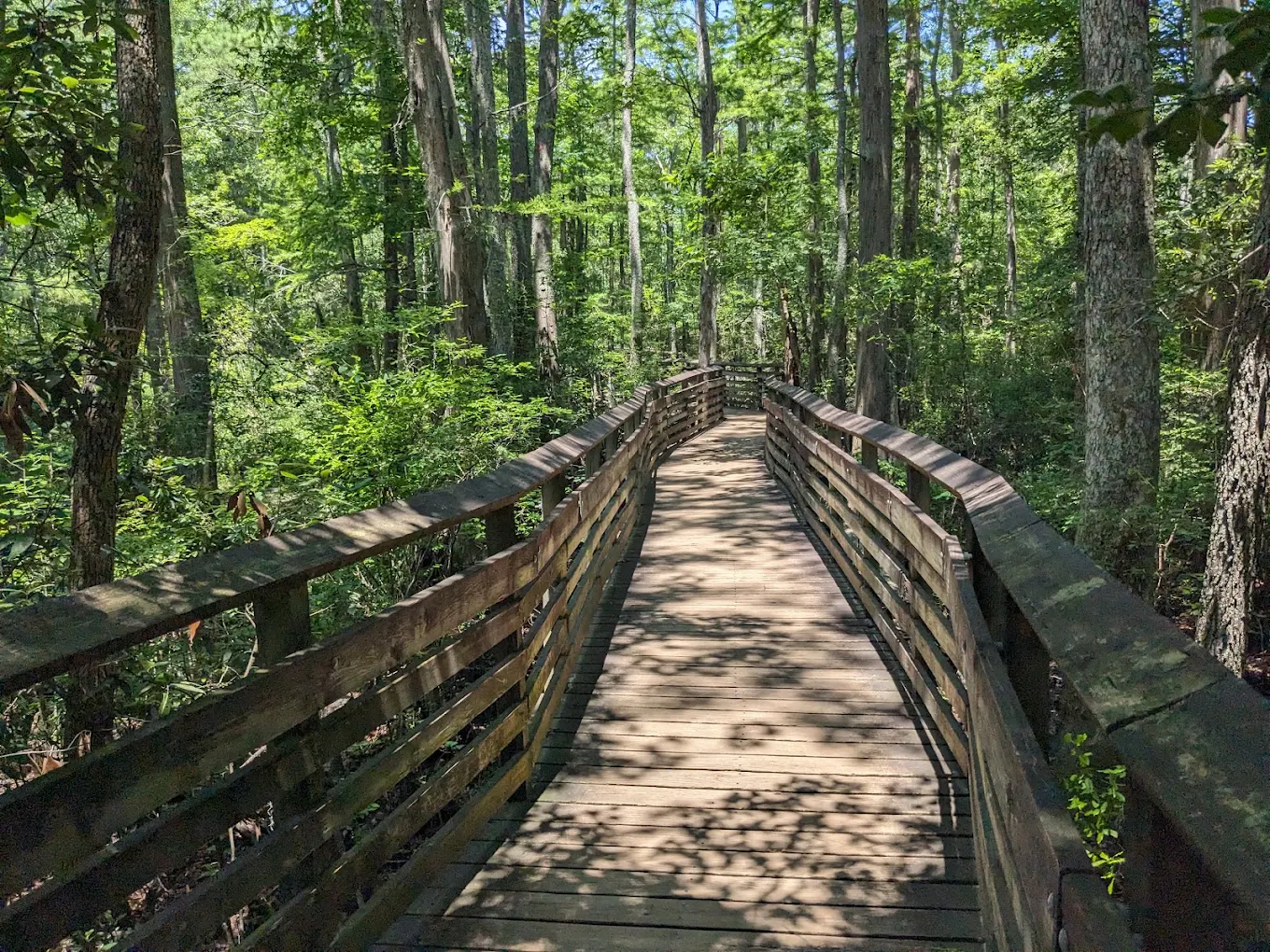 Thing To Do Visit First Landing State Park